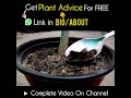 The Most Easy &amp; Effective Way To Use Vermicompost!