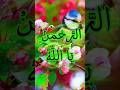 Powerful Islamic insights| powerful names of Allah #islamicreminder#shorts #islamicstatus#shortsfeed