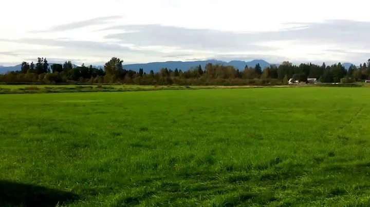 Bailey Lure coursing part 1