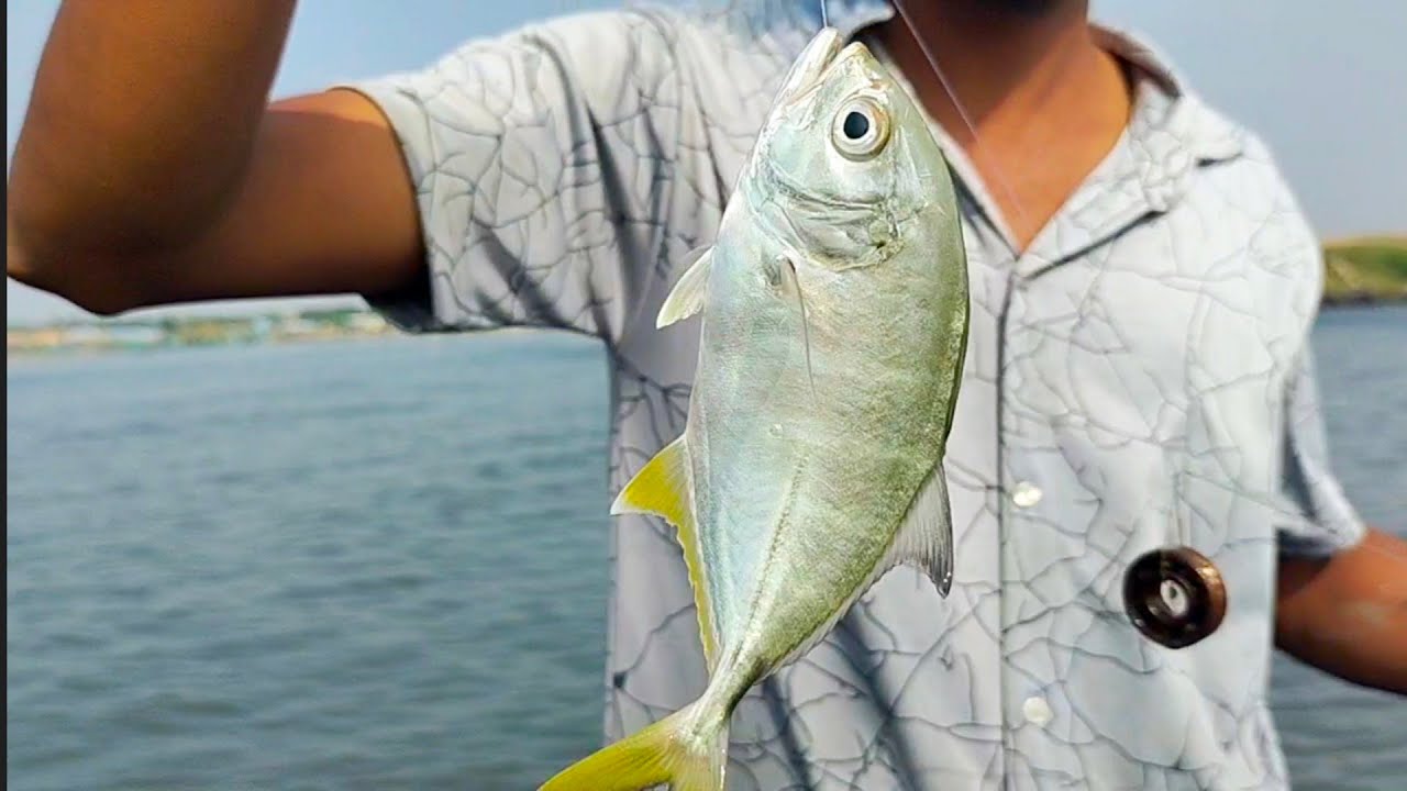 Traditional hand line fishing || rabbit fish and small travally fish catching videos