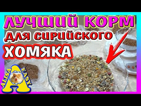 КАК СДЕЛАТЬ КОРМ ДЛЯ ХОМЯКА / МЕШАНИНА ДЛЯ СИРИЙСКОГО ХОМЯКА / Alisa Easy Pets