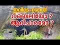       muppuzha cave  travelgunia  vlog 150