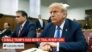Donald Trump's Hush Money Trial in New York, Live News May 14 2024