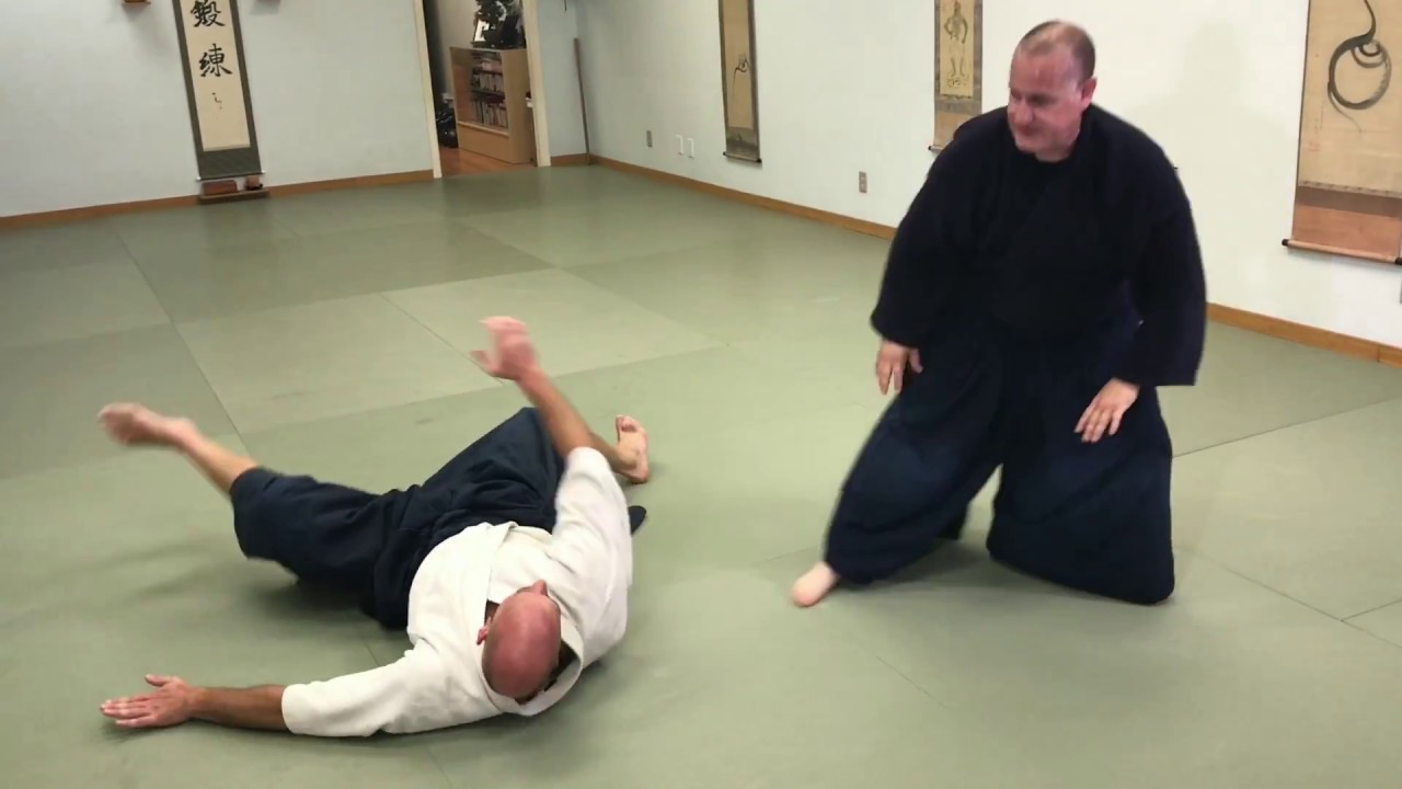 Aikido: Irimi Nage Details (Direct)