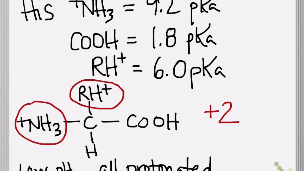 calculate pi of amino acid with r group