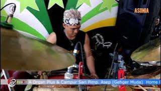 ASONIA, Kembang Tanjung Miss Asonia,  Edisi Basuki