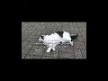#الحمد_لله_دائماً_و_أبداً#صدقة_جارية#قرآن_الكريم#ادعية#اذكار#youtube#shorts#fyp#japan#عصابة_سوما#yt