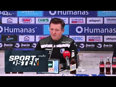 Testspiel: Hallescher FC vs. Queens Park Rangers