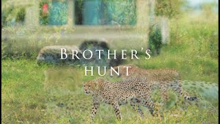 Brother's Hunt