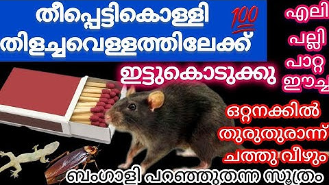 Rats, lizards, cockroaches, flies will run away from home. Put a match in water and see how it go...