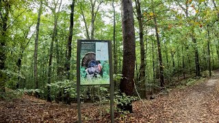 Hiking Prince William Forest Park (High Meadow, Taylor Farm, and South Valley Trail)