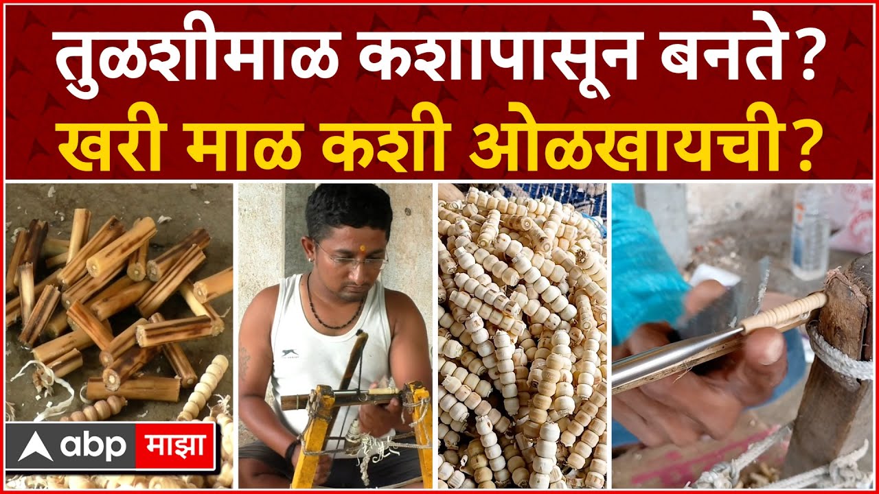 Tulshimal Pandharpur : तुळशीमाळ कशापासून बनते? खरी माळ कशी ओळखायची?