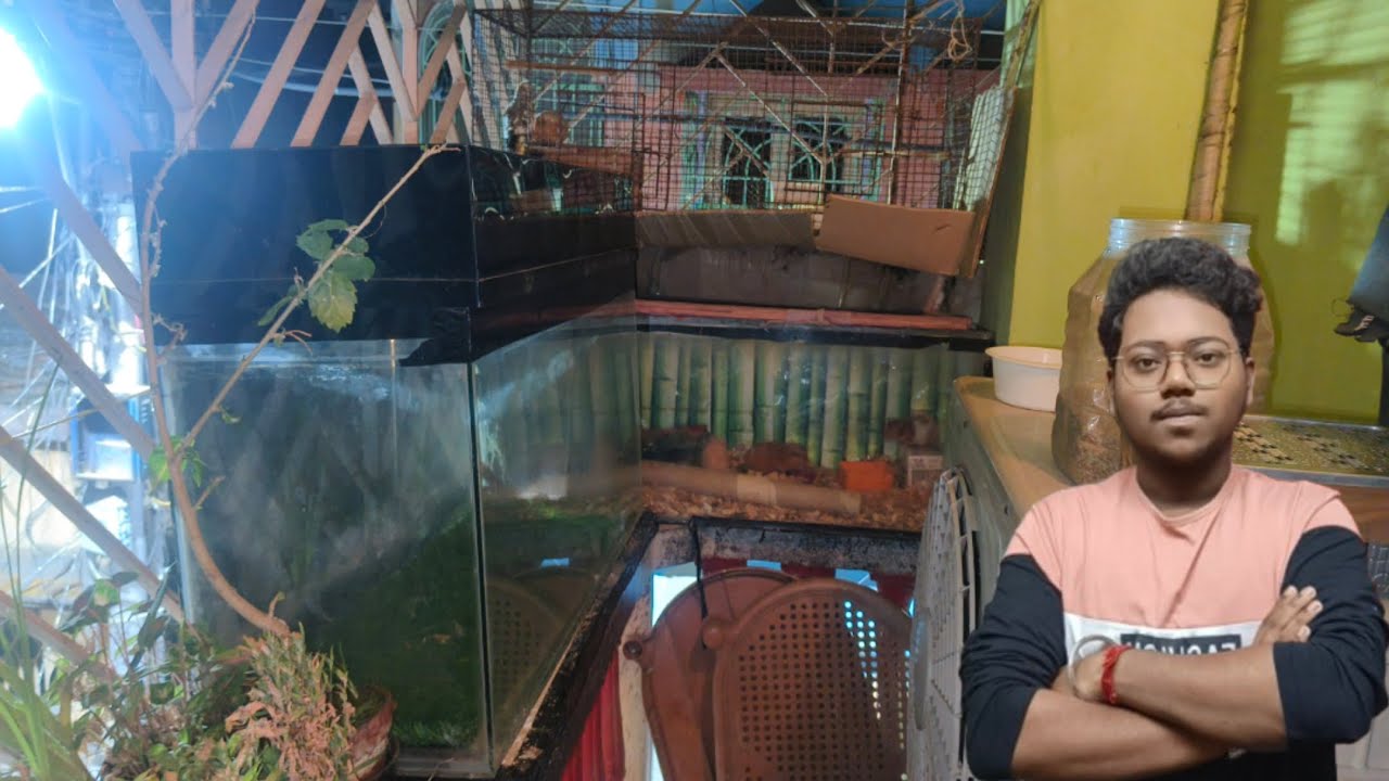 Getting a new tank for my hamster