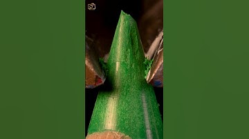 ASMR Color pencil cutting close up macro #shorts  #satisfying #closeup  #macro #asmr  #relaxing