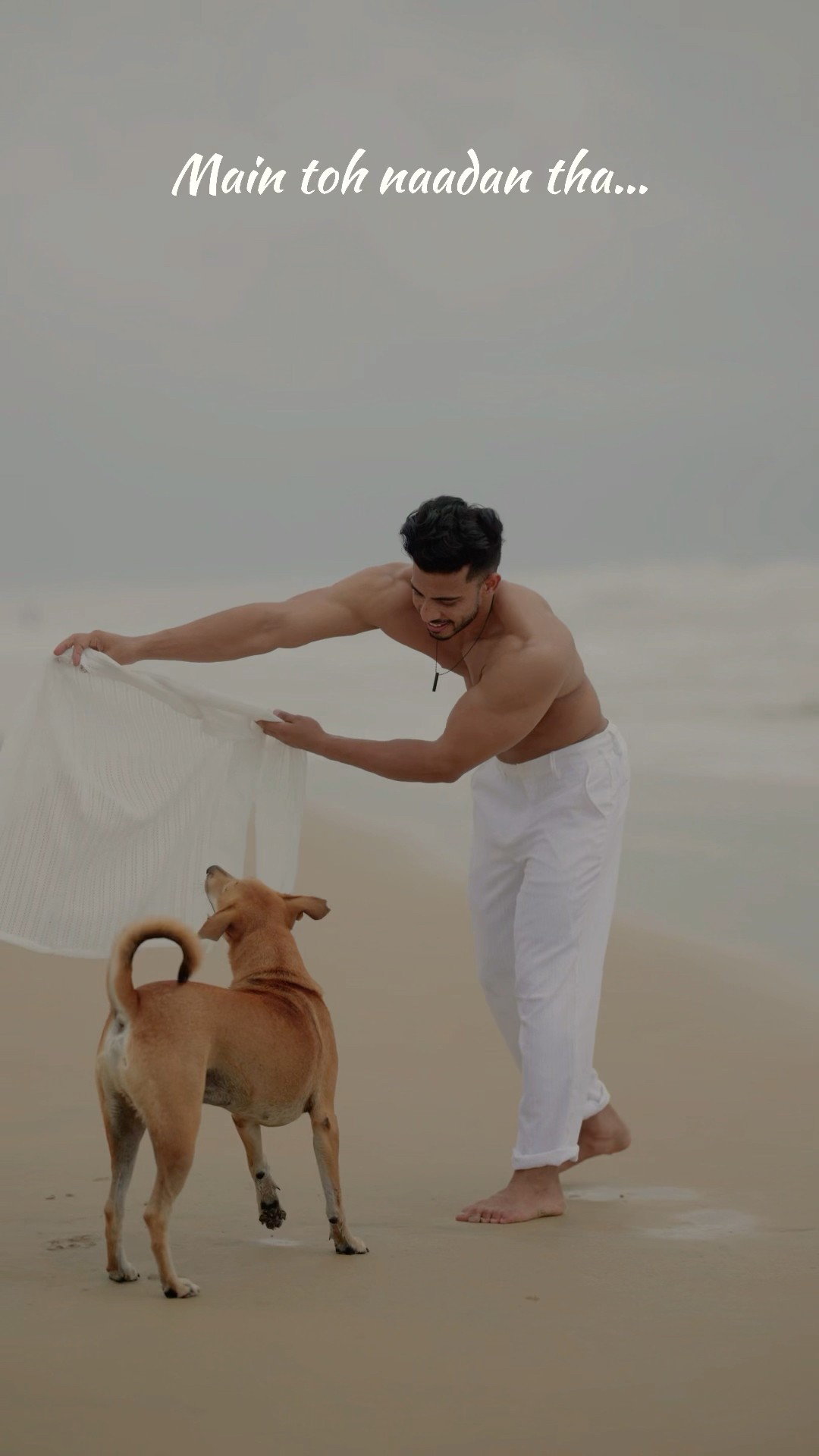 Aksar sabko hasane wale andar se akele hote hai ❤️‍? #bhulbhulaiya3  #newsong #explorereels