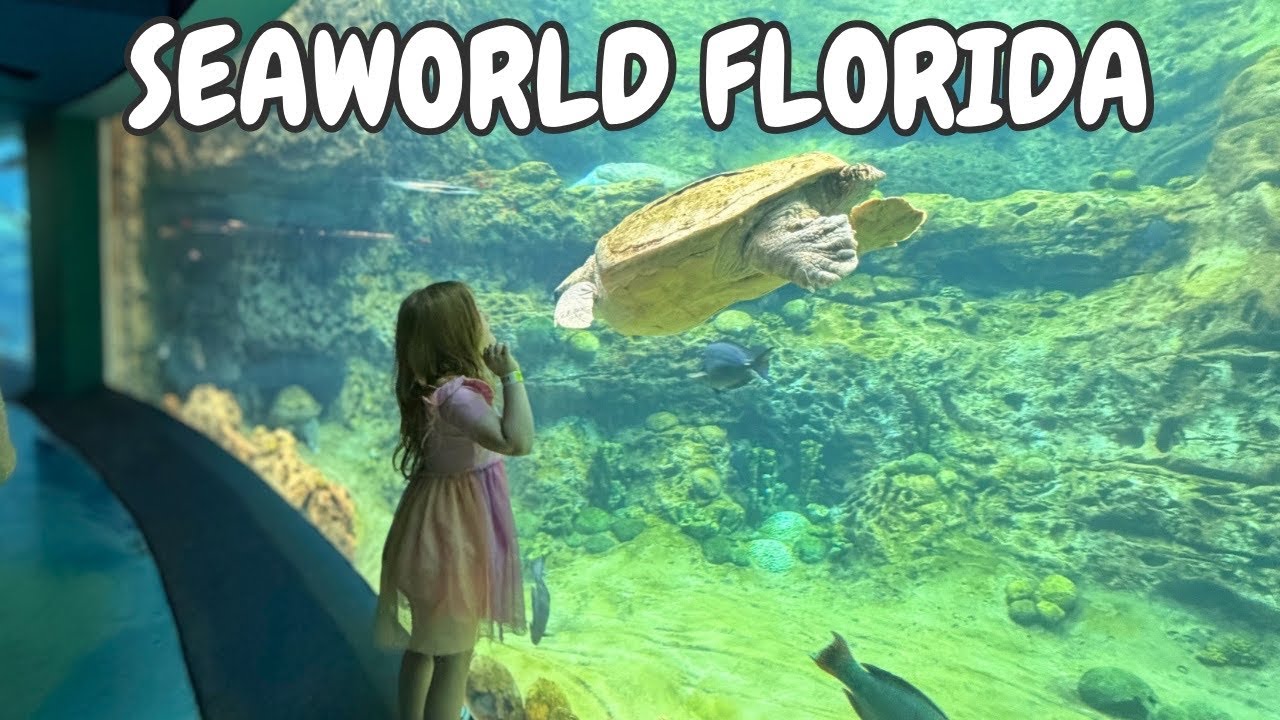  SeaWorld Orlando With All-Day Dining Plan