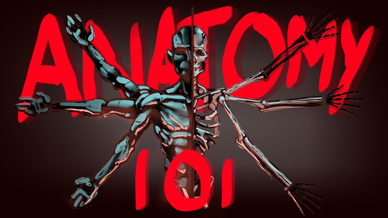 Secret Method To LEARN Anatomy  (draw from imagination)