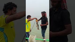 Monster Hook Success! 😱 Caught a Giant River Predator With Whole Chicken Bait! 🐟⛓️🎣 #danialfishing