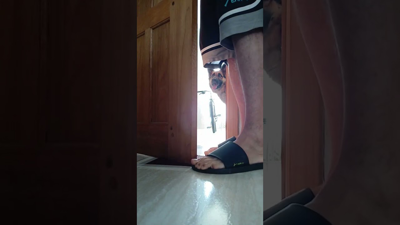 Porta de madeira maciça enroscando no chão dica de tratativa.