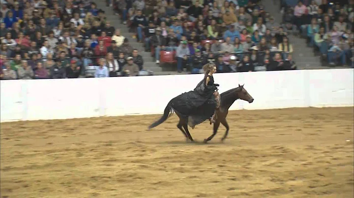 Stacy Westfall - 2011 Congress Freestyle Reining B...