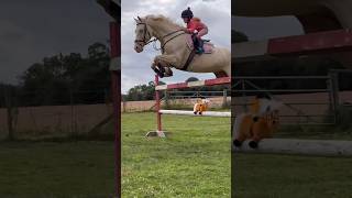 Having fun riding #horse #showjumping #equestrian #horseriding #jumping #pony #stallion #rider