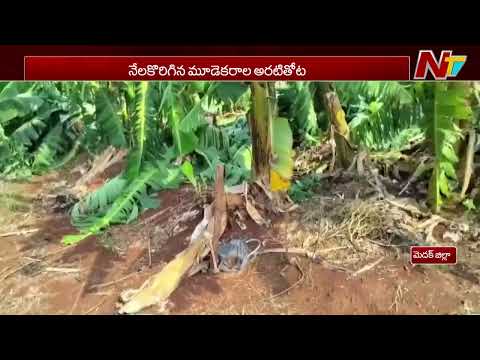 మెదక్ జిల్లాలో గాలిదుమారం బీభత్సం | Picharagad | Medak District | NTV Telugu - NTVTELUGU