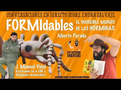 Video: Hormiguero: dispositivo, etapas de construcción, foto. Un hormiguero desde adentro: división en castas y datos interesantes de la vida de las hormigas