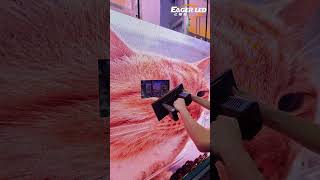 Quick Repair & Installation Module Showcase! #flexibleleddisplay #leddisplay #ledscreen #ledwall