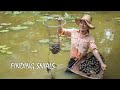 Finding Snails in my Village | Cooking Amok Snails Recipe For Dinner