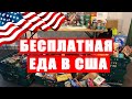 ФУД БАНК В США | КАК ПОЛУЧИТЬ БЕСПЛАТНУЮ ЕДУ | КАКУЮ ЕДУ ДАЮТ В США БЕСПЛАТНО