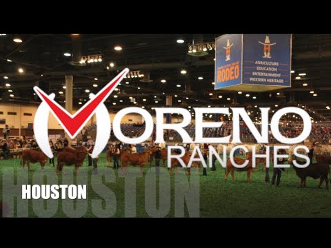 Houston Livestock Show and Rodeo Invitation 2020!