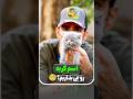 اسم گربه روچی بزاریم 09123808178 گربه گربه بامزه گربه بریتیش گربهها گربه ملوس گربه عشق Cat 