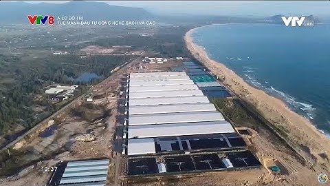 Giải pháp nuôi tôm Công nghệ cao và Bền vững tại Việt Úc Phù Mỹ