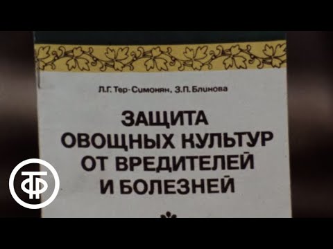 Видео: Насекомые-вредители георгинов – узнайте, как бороться с вредителями, поражающими георгины