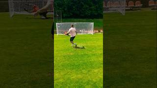 Super Penalty Kick