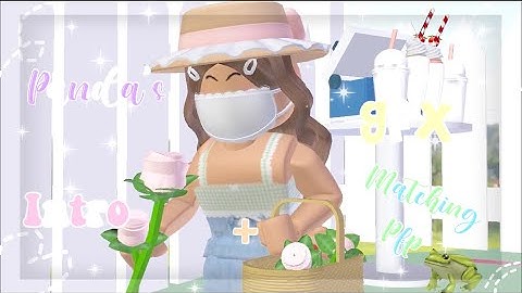 GFX Intro Template + Matching Pfp For Panda