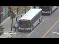 Buses in St Louis, Missouri, USA 2020