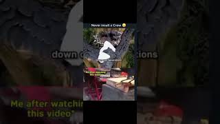 NEVER INSULT A CROW 🐦‍⬛🐦‍⬛🐦‍⬛🐦‍⬛#memes #funny