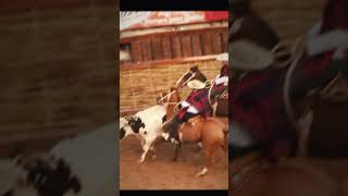 Juan Carlos Loaiza y Eduardo Tamayo Champion Rancagua 2015 la mejor collera 🤠🌾🐴