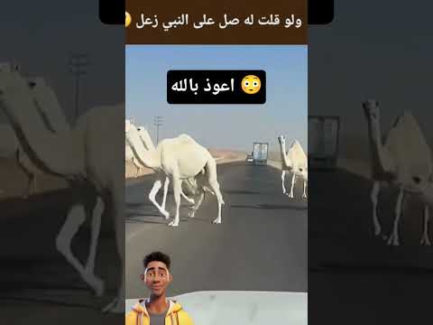صاحبك الي عينه حارة  اكسبلور  ضحك تحشيش     