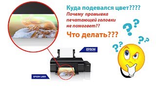 Epson L805 - Пропали цвета, прочистка не помогает... ЧТО ДЕЛАТЬ??