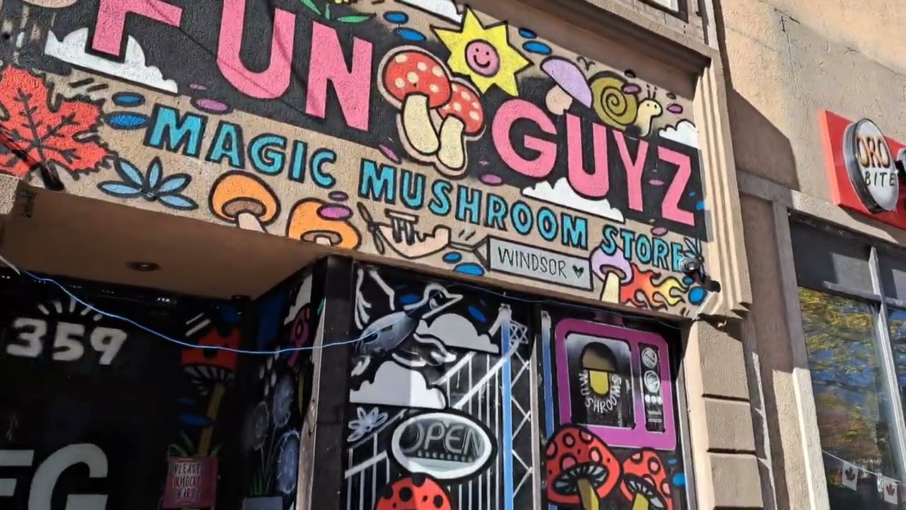 Ouellette Ave from Wyandotte to Riverside Drive in Downtown Windsor Ontario Canada 