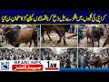 Strong Bulls in Karachi Streets – Butchers Face Tough Time - 1am News Headlines - 24 News HD