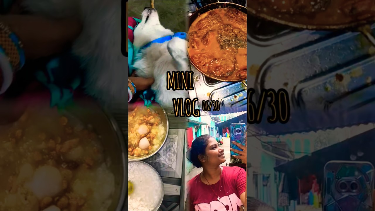mini vlog 06 