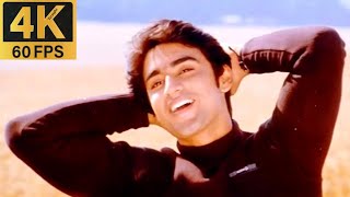 I Am In Love 4K Video Song  Yeh Dil Aashiqana  Karan Nath, Jividha, Alka Yagnik, Kumar Sanu HD