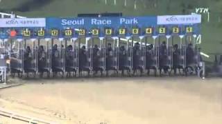 명마 이야기 - 역사 속 명마 - 말이 좋다 (144회) / YTN