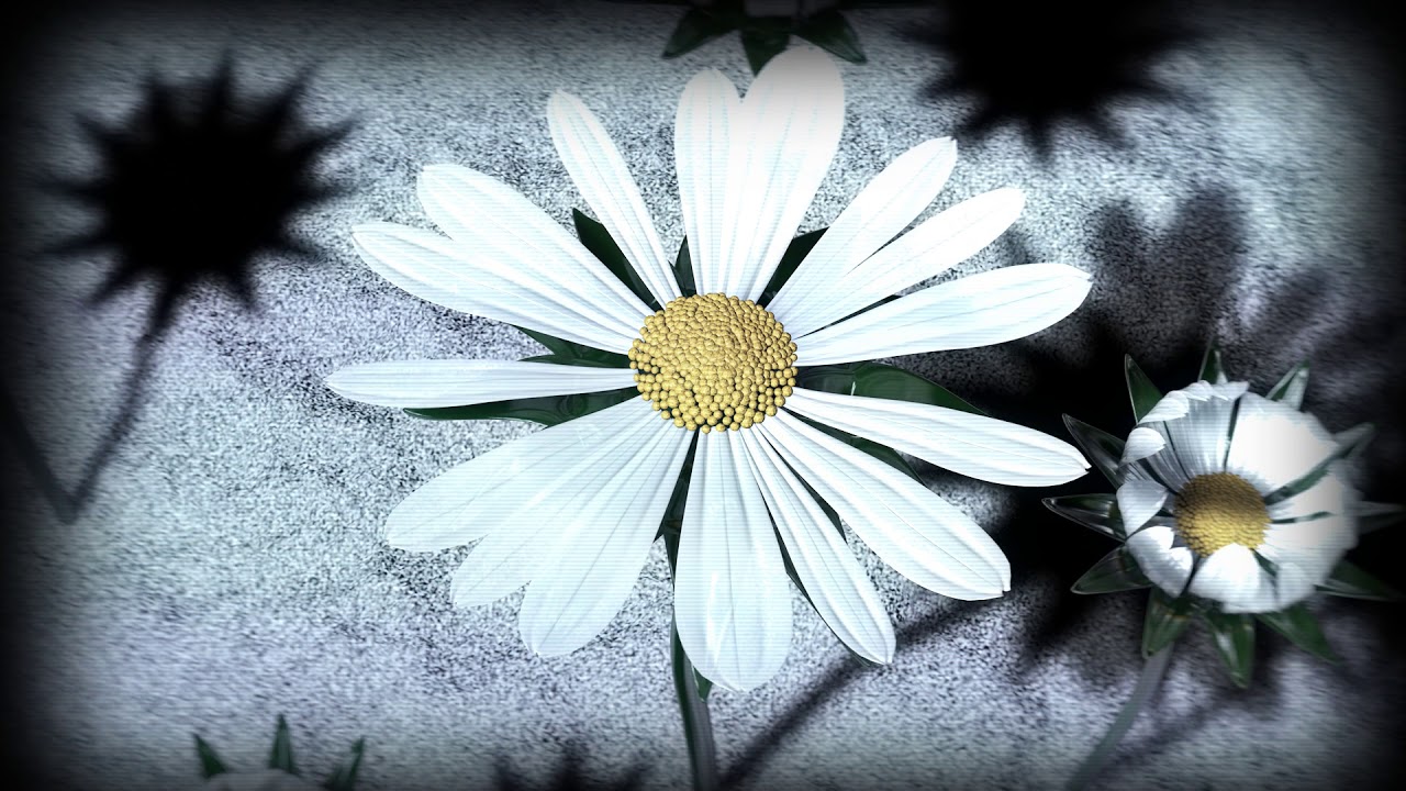 Watch Jan Hertz - Daisyworld on YouTube Watch Jan Hertz - Daisyworld on YouTube