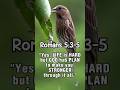 ✝️🐟Follow christ4all 4more christian content #bible #bibleverse #christianity #jesus