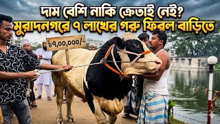 মুরাদনগরে ৭ লাখ টাকার বিশাল গরু, ক্রেতা না পেয়ে ফিরল বাড়িতে