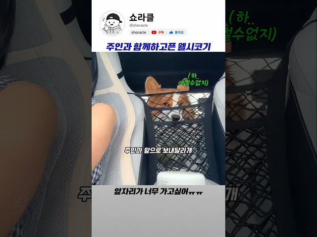 얼굴로 웃기기 있냐